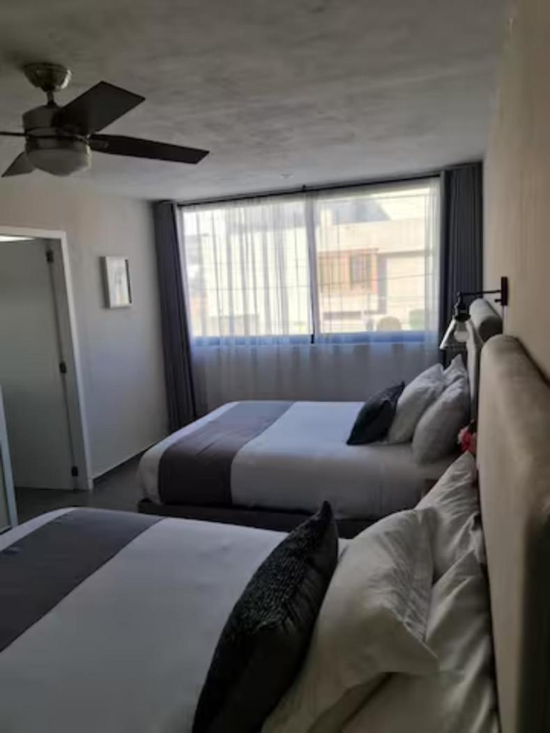 Urban Gran Plaza Aparthotel Zapopan Kültér fotó